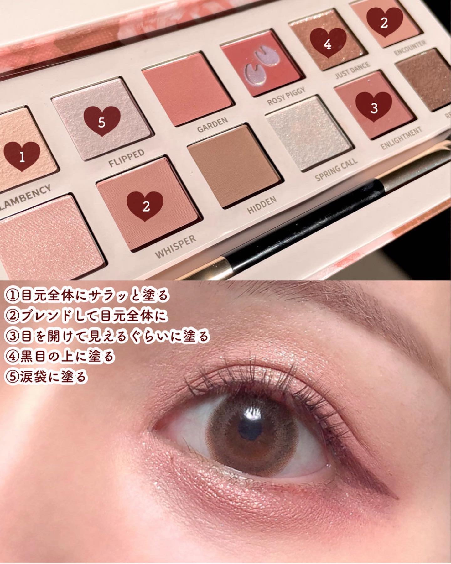 新色レビュー】エクスプローラ12色 動物アイシャドウパレット｜PERFECT