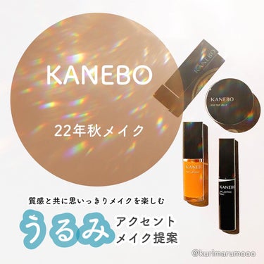 ティントリップコート/KANEBO/リップグロスを使ったクチコミ（1枚目）