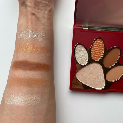 トラ十色アイシャドウパレット/COLORKEY/アイシャドウパレットを使ったクチコミ(4枚目)