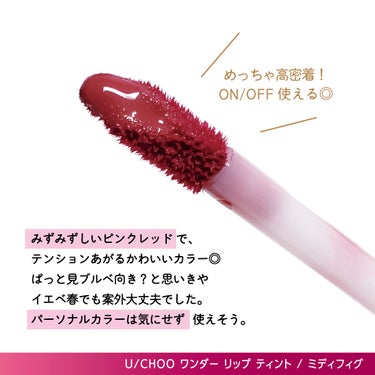 WONDER LIP TINT/U/CHOO/口紅を使ったクチコミ（2枚目）