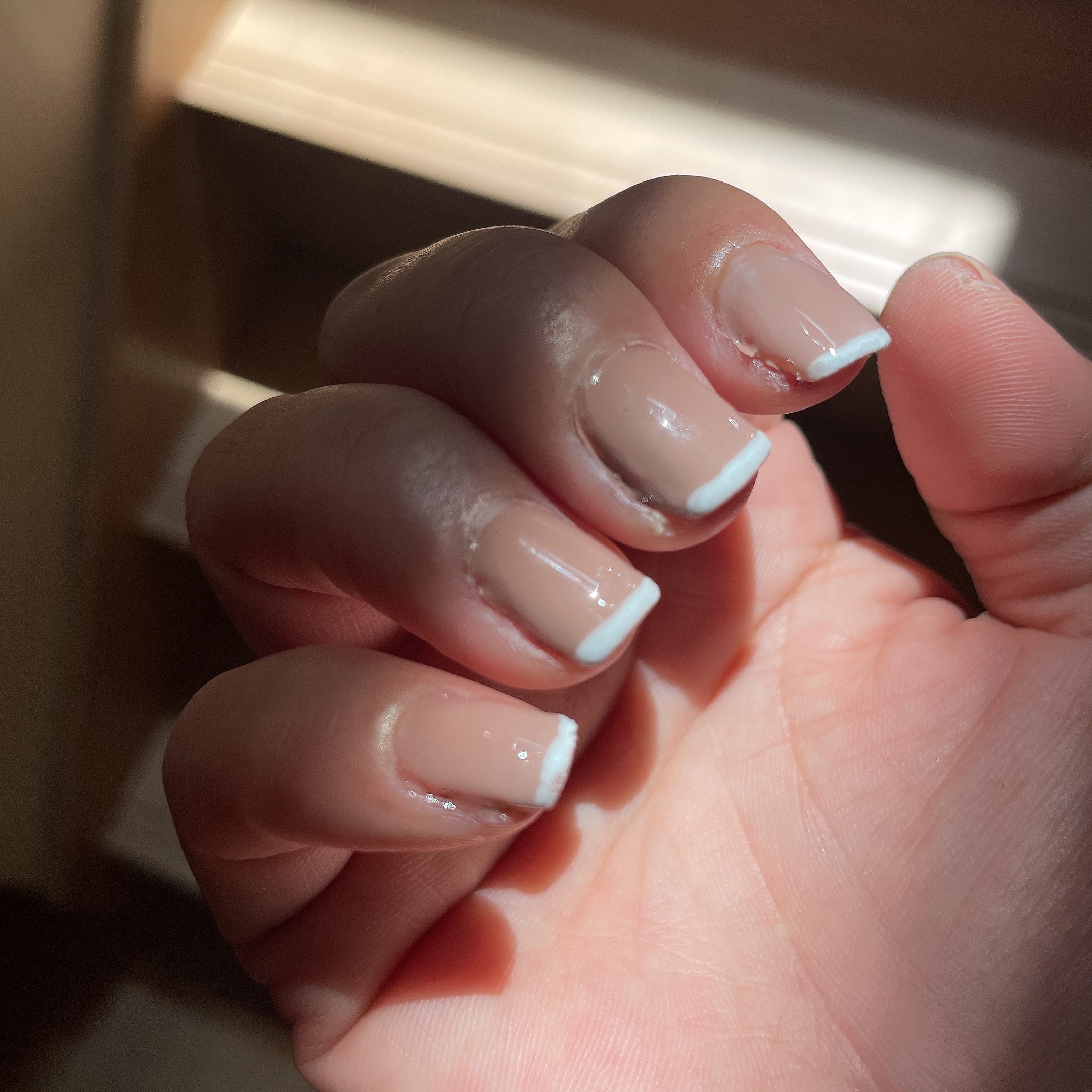 スタンピングネイル/セリア/ネイル用品を使ったクチコミ（3枚目）