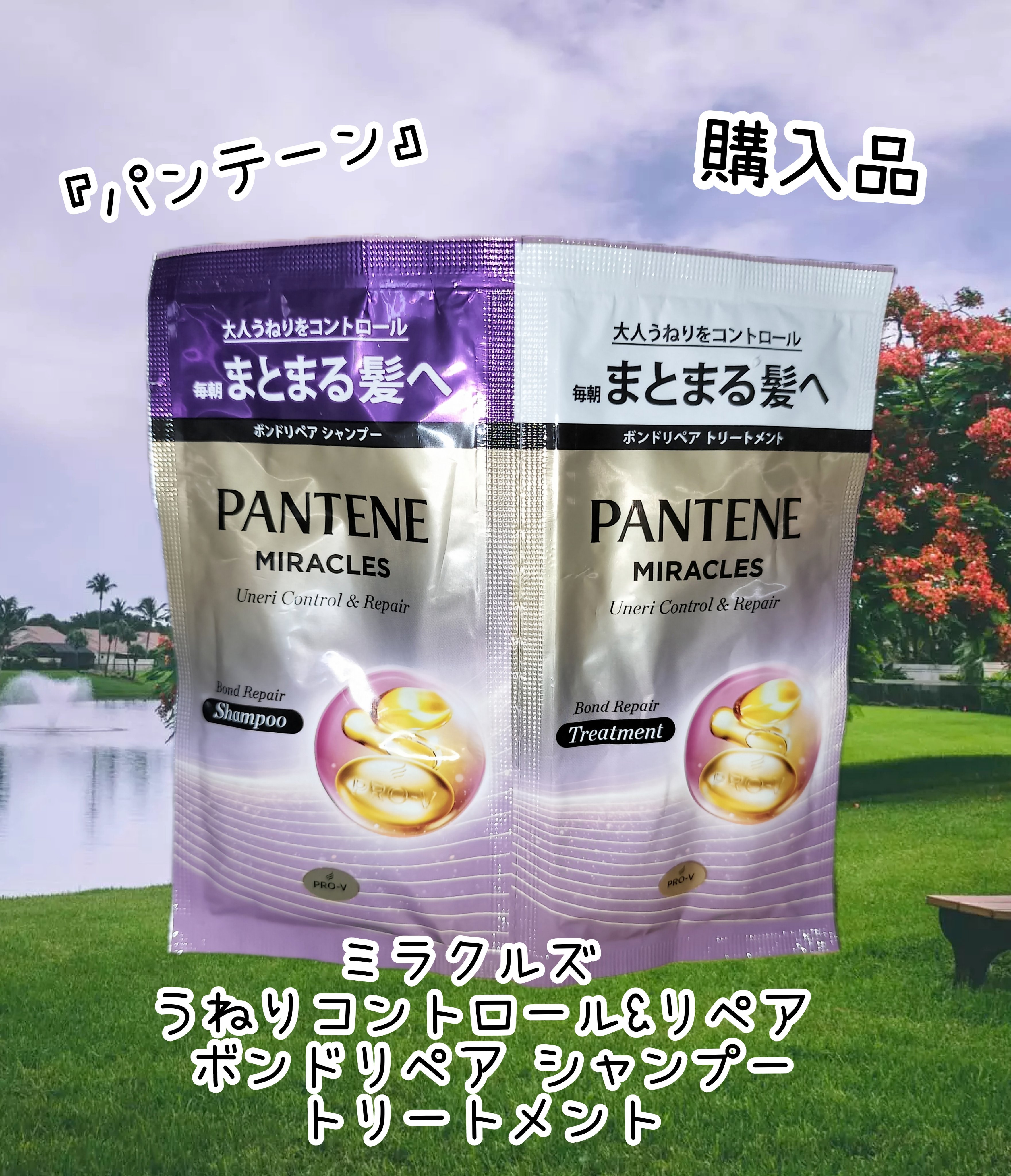 ミラクルズ うねりコントロール&リペア ボンドリペア シャンプー/トリートメント/パンテーン/市販シャンプーを使ったクチコミ（1枚目）