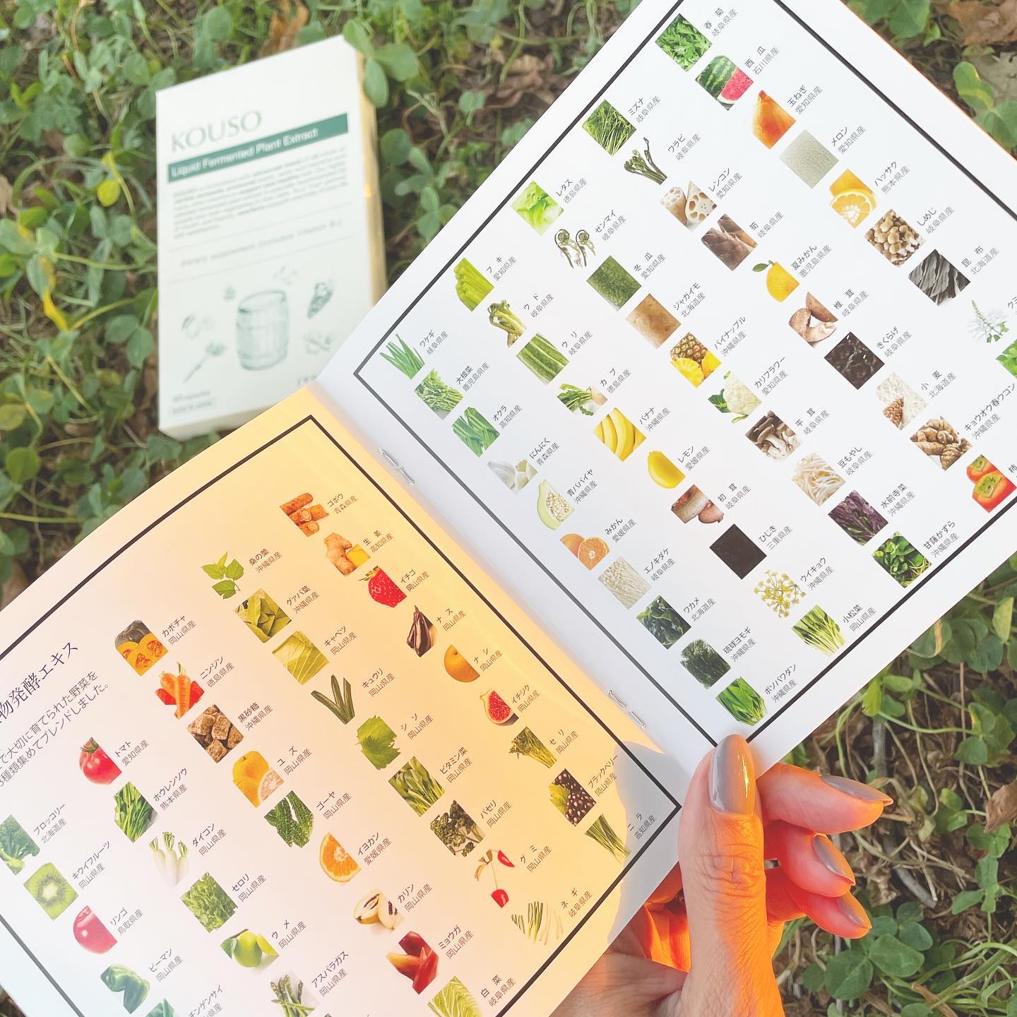 nagomi KOUSO 30粒/renaTerra/健康サプリメントを使ったクチコミ（2枚目）