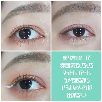 アイランドアドベンチャー4アイシャドウ/HEXZE(ヘックスゼ)/アイシャドウパレットを使ったクチコミ(10枚目)