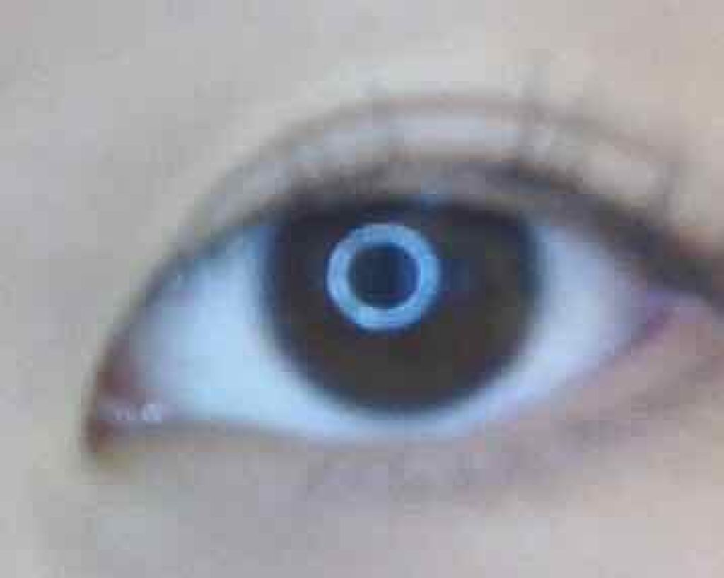 クイックラッシュカーラー/キャンメイク/マスカラ下地を使ったクチコミ（3枚目）