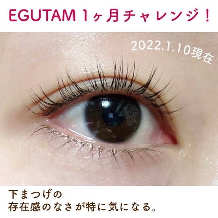 エグータム/アルマダスタイル/まつげ美容液を使ったクチコミ(3枚目)