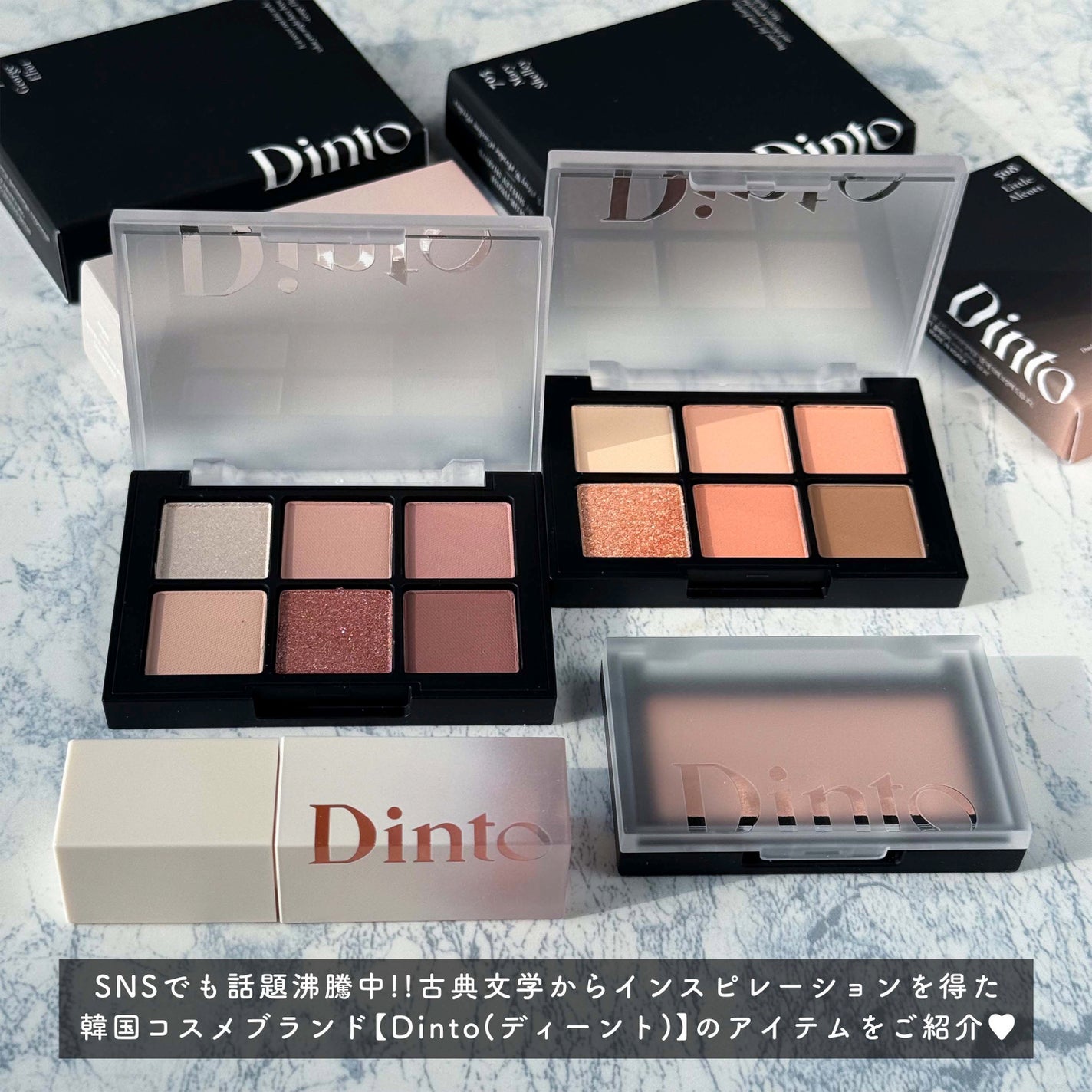 ブラーフィニシュシャドウパレット/Dinto/アイシャドウパレットを使ったクチコミ(2枚目)