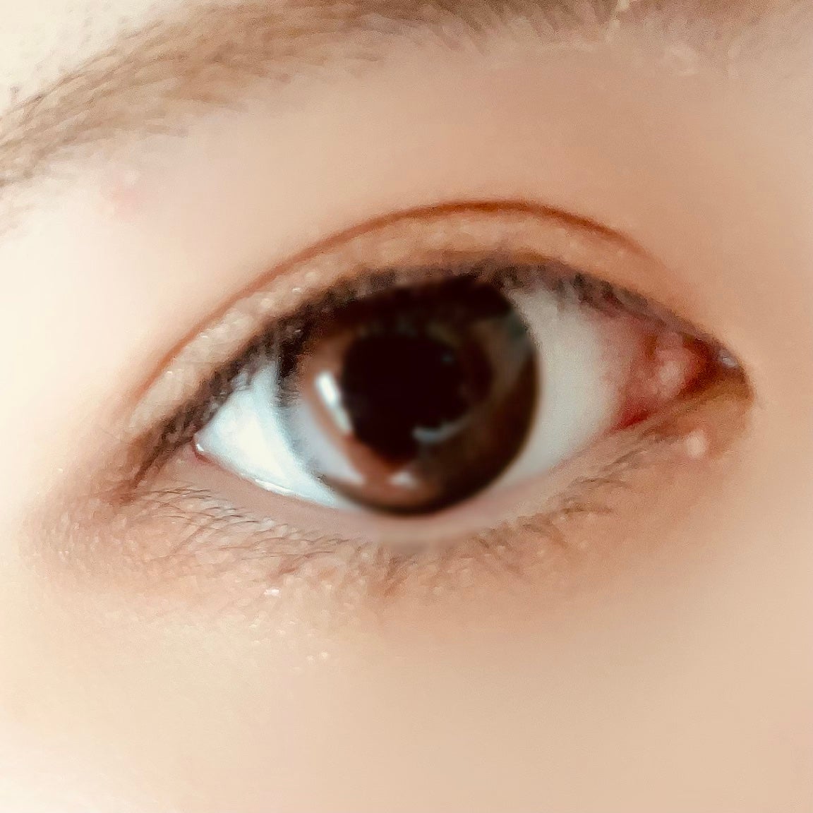 ビタートーンアイシャドウ/CEZANNE/パウダーアイシャドウを使ったクチコミ(4枚目)