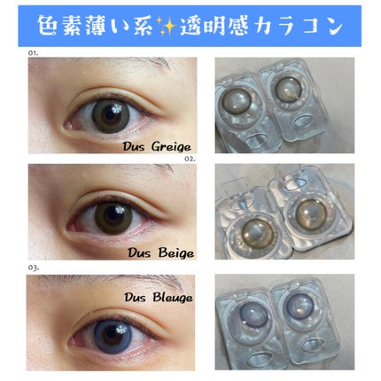 TeAmo 1DAY ダス ブルージュ Dus Bluege/TeAmo/ワンデー(1DAY)カラコンを使ったクチコミ(1枚目)