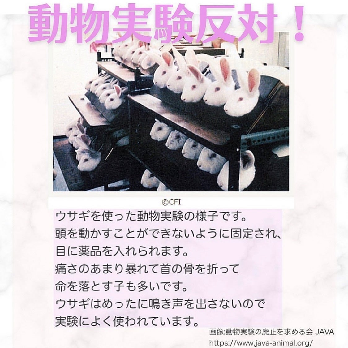 ジュエル エッセンス/gradis/美容液を使ったクチコミ(4枚目)