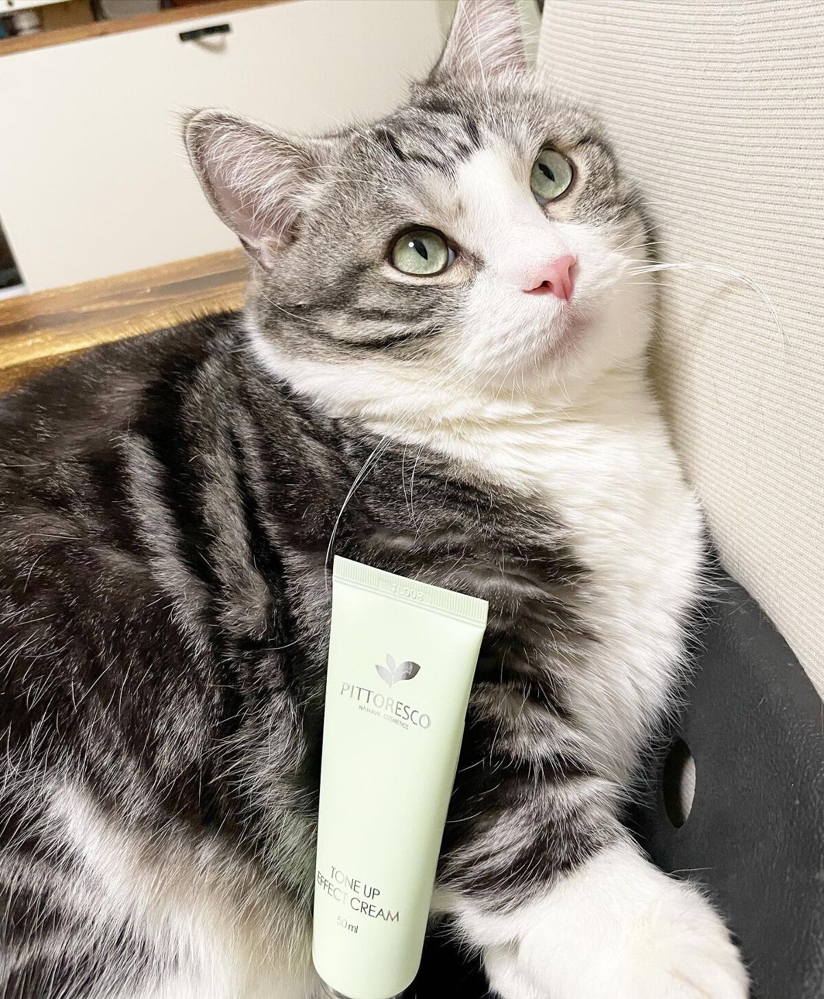 トーンアップエフェクトクリーム/Pittoresco/化粧下地を使ったクチコミ(1枚目)