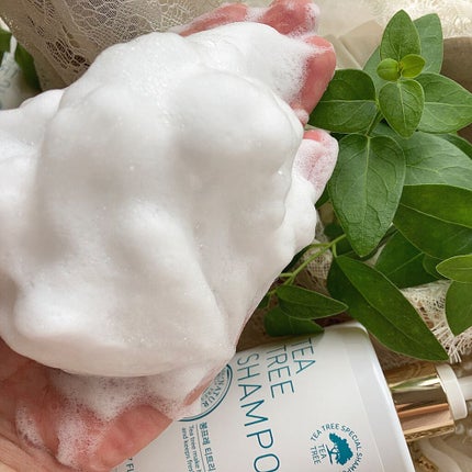 BONFRE TEA TREE SHAMPOO/NICHIRICH/市販シャンプーを使ったクチコミ(4枚目)