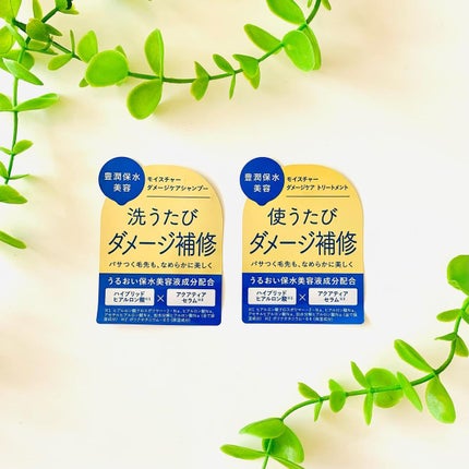 モイスチャーダメージケア ヘアオイル/Aquall/ヘアオイルを使ったクチコミ(5枚目)