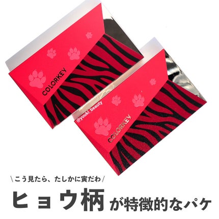 トラ十色アイシャドウパレット/COLORKEY/アイシャドウパレットを使ったクチコミ(7枚目)