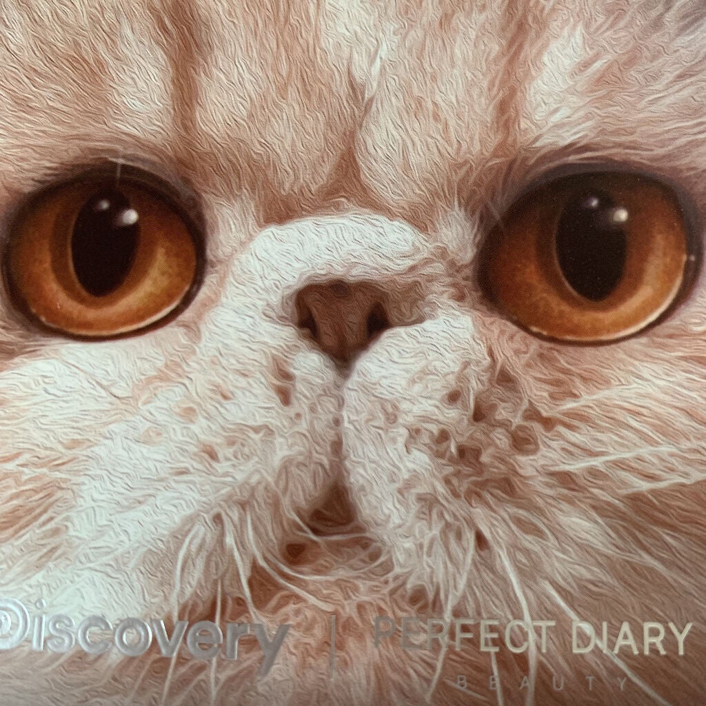 ãå¯çã¢ã€ã©ã€ããŒãã¯ãªãŒã ãã³ã·ã«/ããžã£ãŽã¥/ãã³ã·ã«ã¢ã€ã©ã€ããŒã䜿ã£ãã¯ãã³ãïŒ6æç®ïŒ