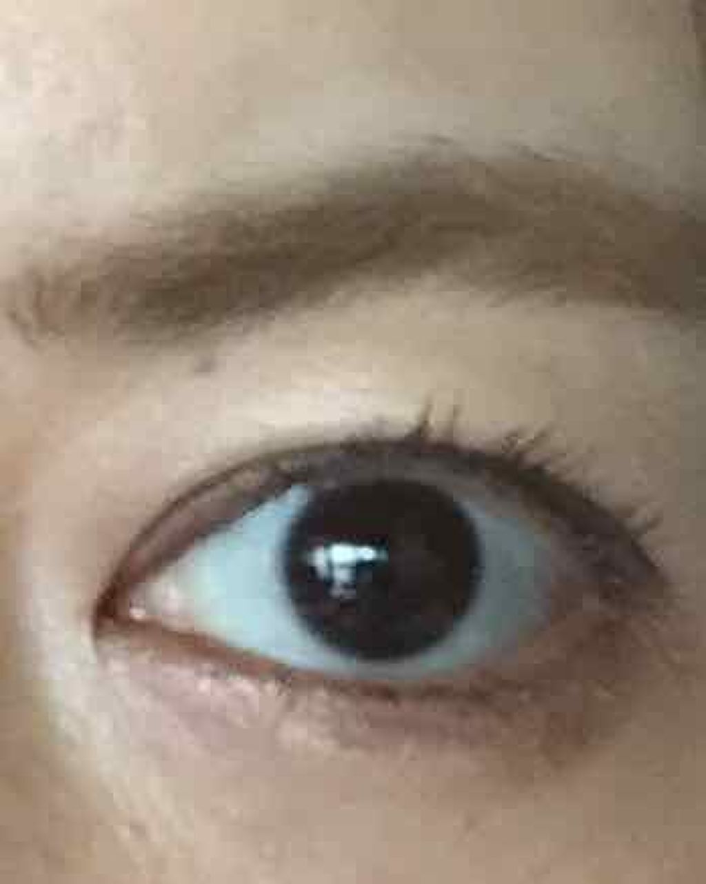 アイシャドウベース/キャンメイク/アイシャドウベースを使ったクチコミ(3枚目)