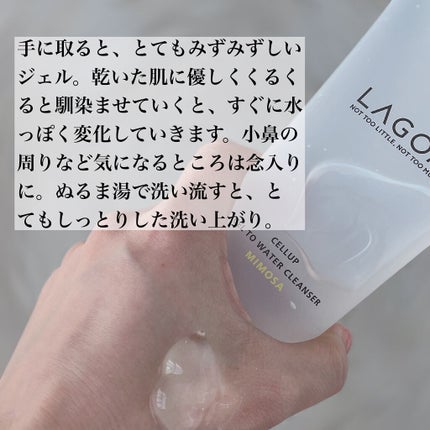 ラゴム ジェルトゥウォーター クレンザー(朝用洗顔)/LAGOM /その他洗顔料を使ったクチコミ(2枚目)