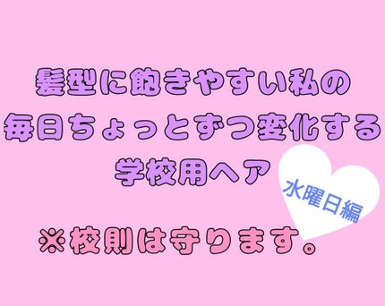 ストレートヘアアイロン/SALONIA/ストレートアイロンを使ったクチコミ(1枚目)