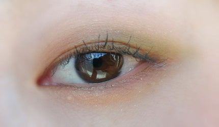 ニューデップスアイシャドウパレット/hince/アイシャドウパレットを使ったクチコミ(1枚目)