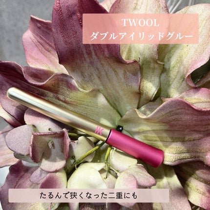 TWOOL ダブルアイリッドグルー/SHOBIDO/二重まぶた用アイテムを使ったクチコミ(1枚目)