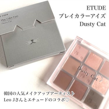 ETUDE プレイカラーアイズのクチコミ「ETUDE
プレイカラーアイズ
Dusty Cat

6月新発売のブルベ大勝利なパレット！
猫.....」（2枚目）