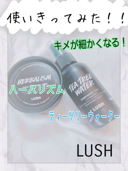 ティーツリーウォーター/ラッシュ/ミスト状化粧水を使ったクチコミ(1枚目)