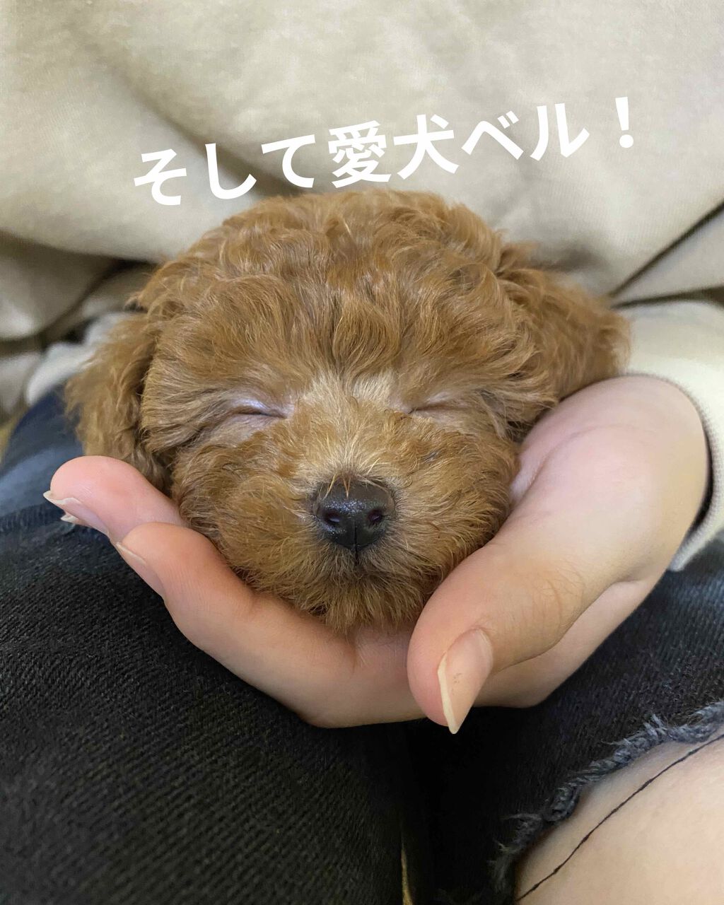 Rio❤︎ on LIPS 「こんにちはー❣️Rio❤︎です!💩前回、アンケートを取らせて頂..」(4枚目)