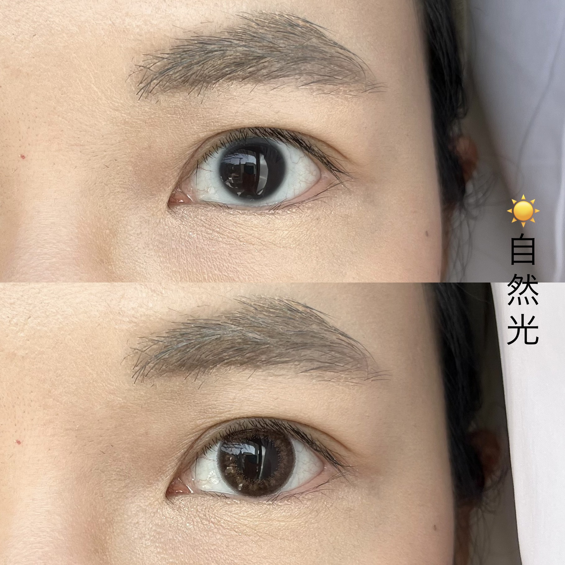 U.P.D. 1day ホログラムダリア/U.P.D./ワンデー（１DAY）カラコンを使ったクチコミ（3枚目）