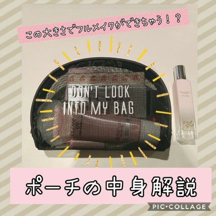 WHY NOT SPINNS リップティント/DAISO/リップティントを使ったクチコミ(1枚目)