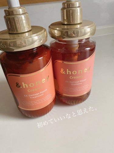 Creamy EXダメージリペアシャンプー1.0/ヘアトリートメント2.0/&honey/シャンプー・コンディショナーを使ったクチコミ（1枚目）