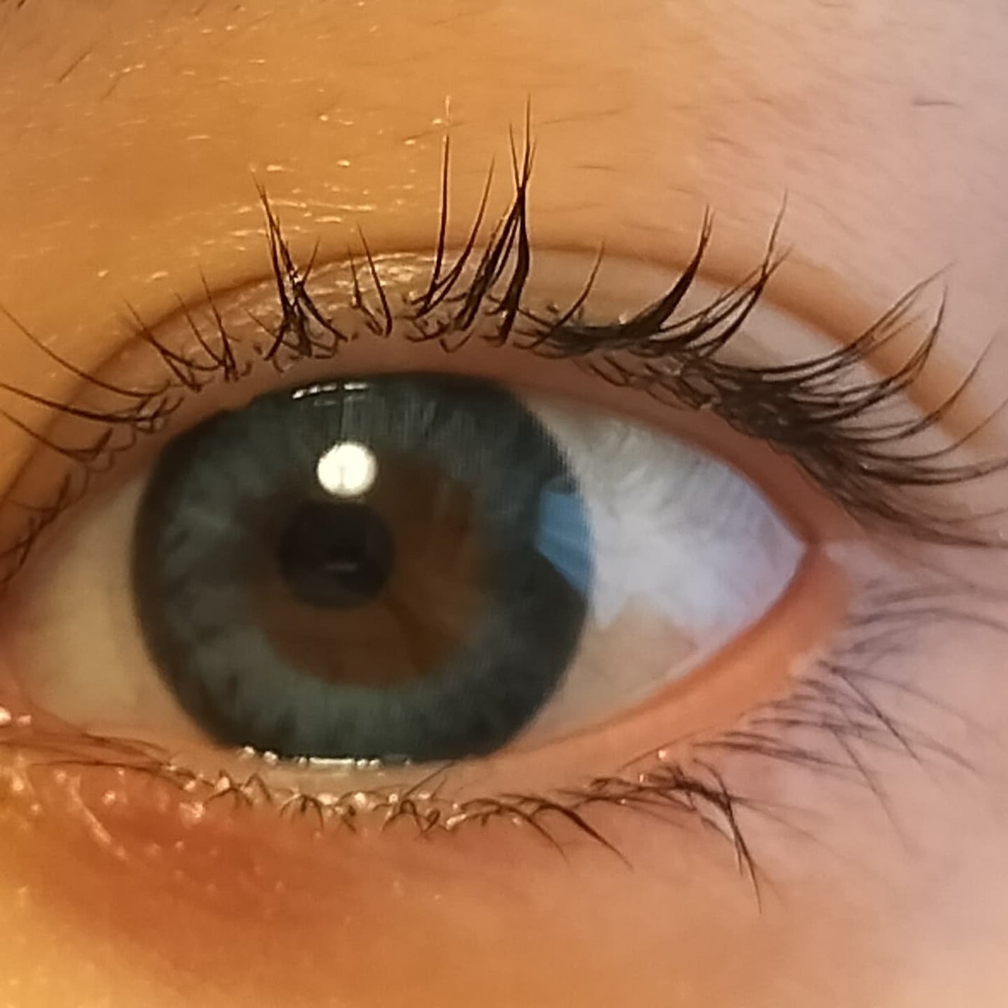 N’s COLLECTION 1day/N’s COLLECTION/ワンデー(1DAY)カラコンを使ったクチコミ(5枚目)