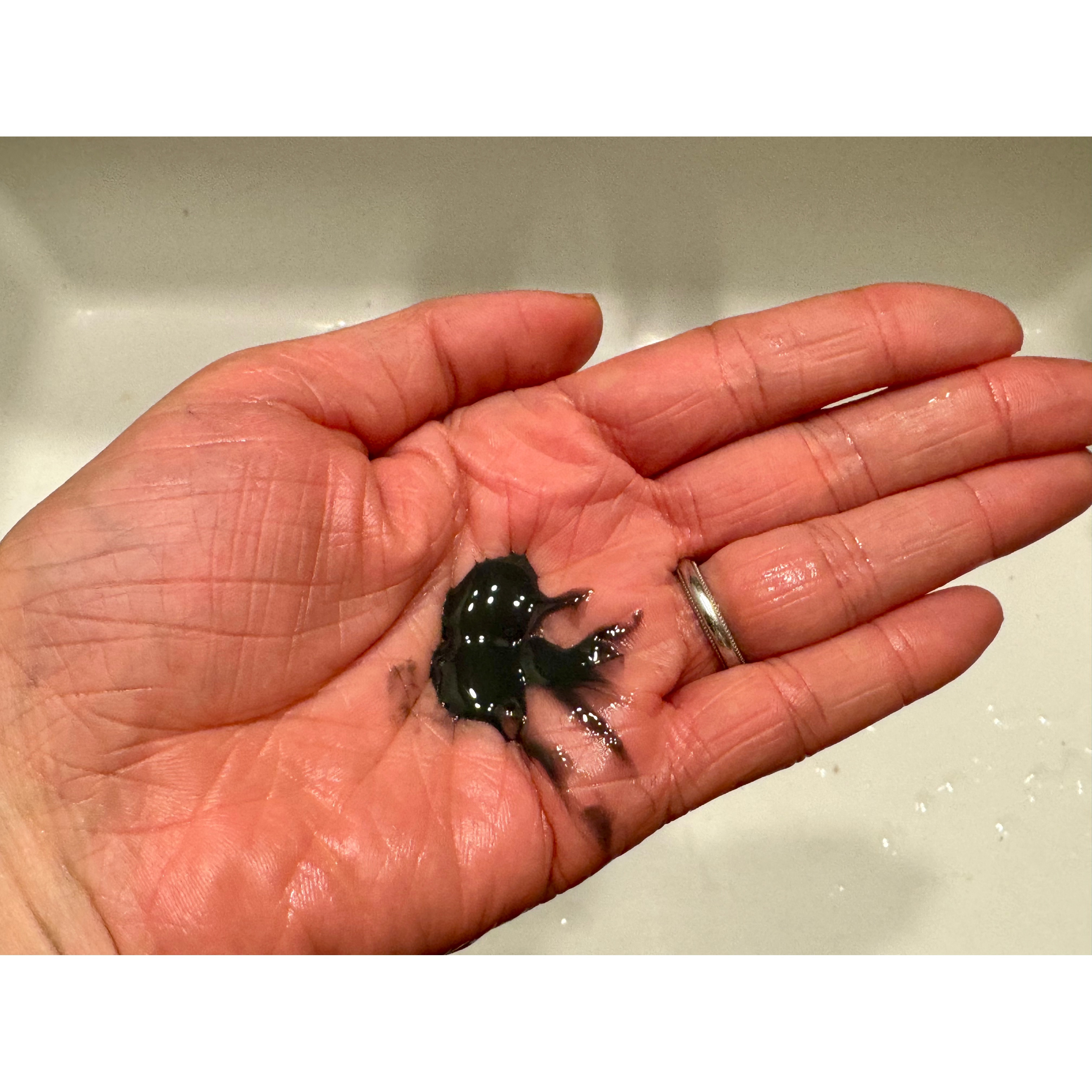 ソフィーナ iP ポア クリアリング ジェル ウォッシュ/SOFINA iP/その他洗顔料を使ったクチコミ（2枚目）