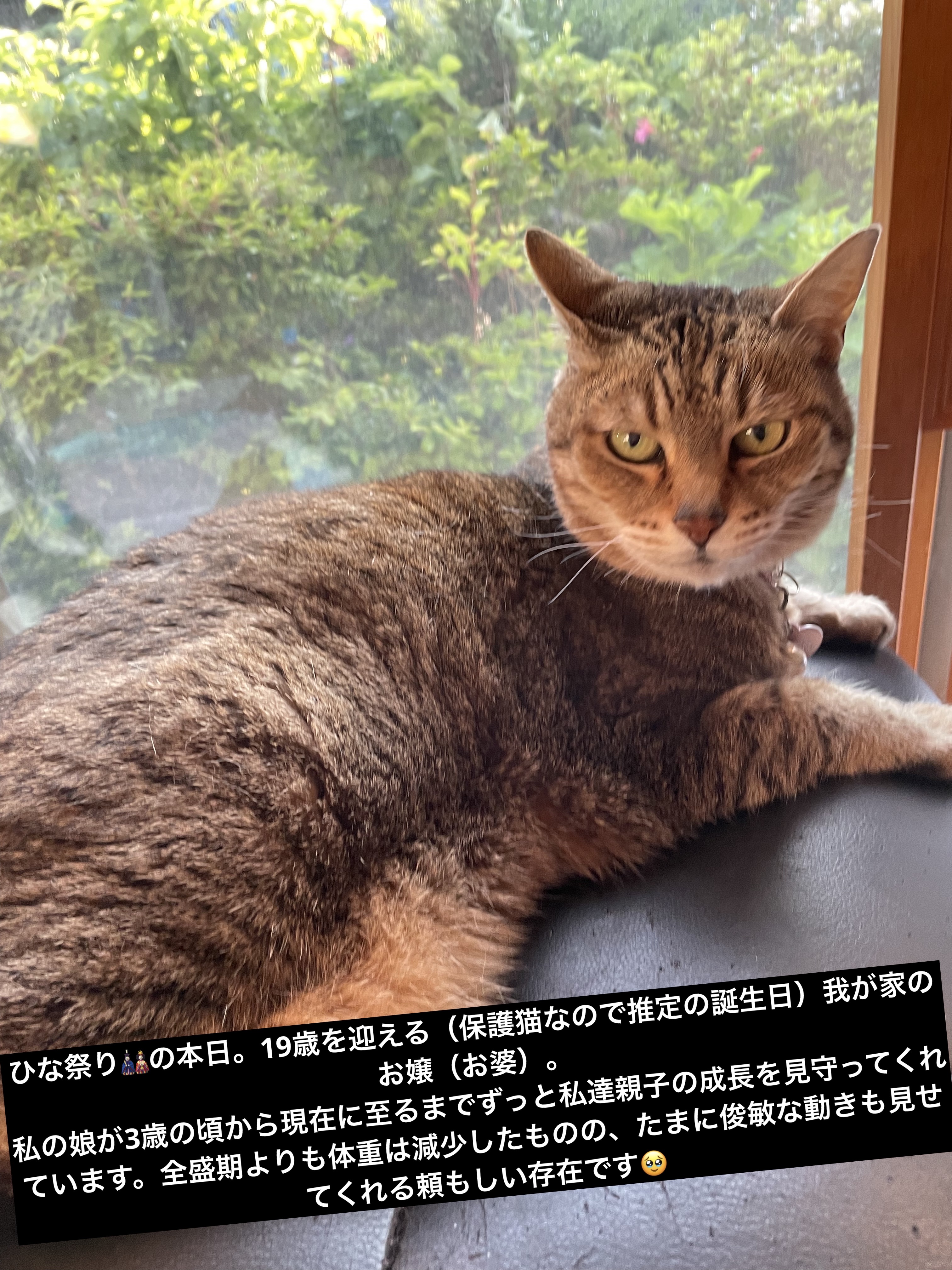 レ キャトル オンブル 274 コード エレガン/CHANEL/アイシャドウパレットを使ったクチコミ（2枚目）