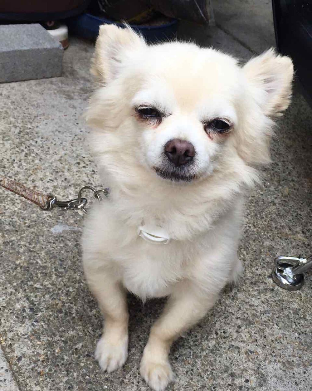 カラフルネイルズ/キャンメイク/マニキュアを使ったクチコミ(2枚目)