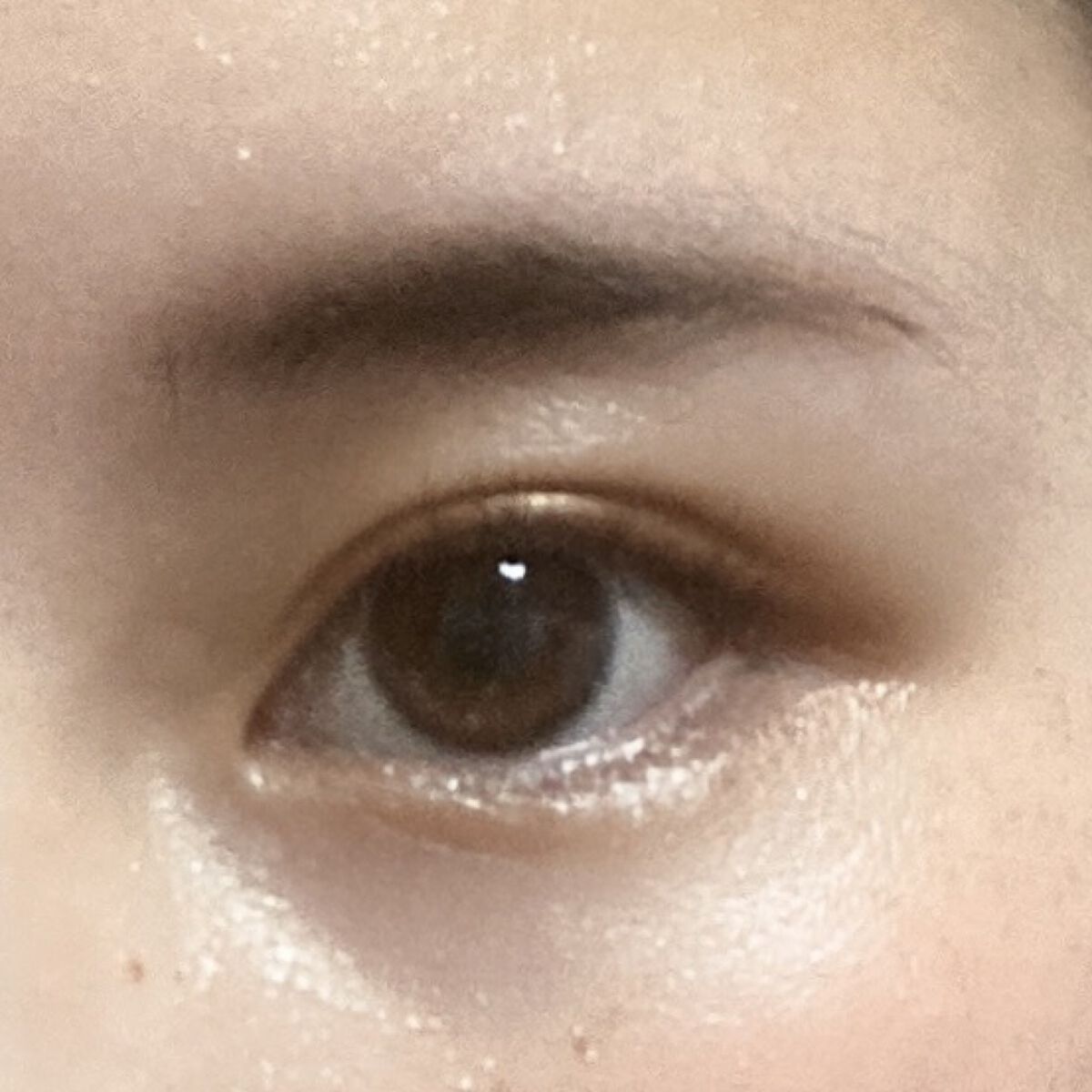 エバビレーナ アイブローパウダー/DAISO/パウダーアイブロウを使ったクチコミ（1枚目）