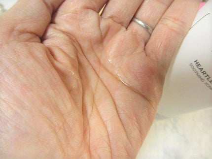 ドクダミ 77 スージングトナー/Anua/化粧水を使ったクチコミ(6枚目)