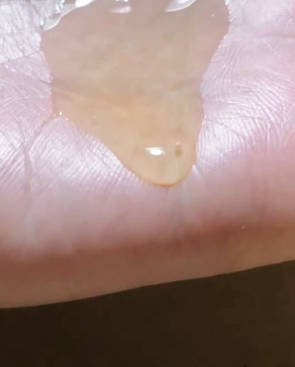 を使ったクチコミ(2枚目)