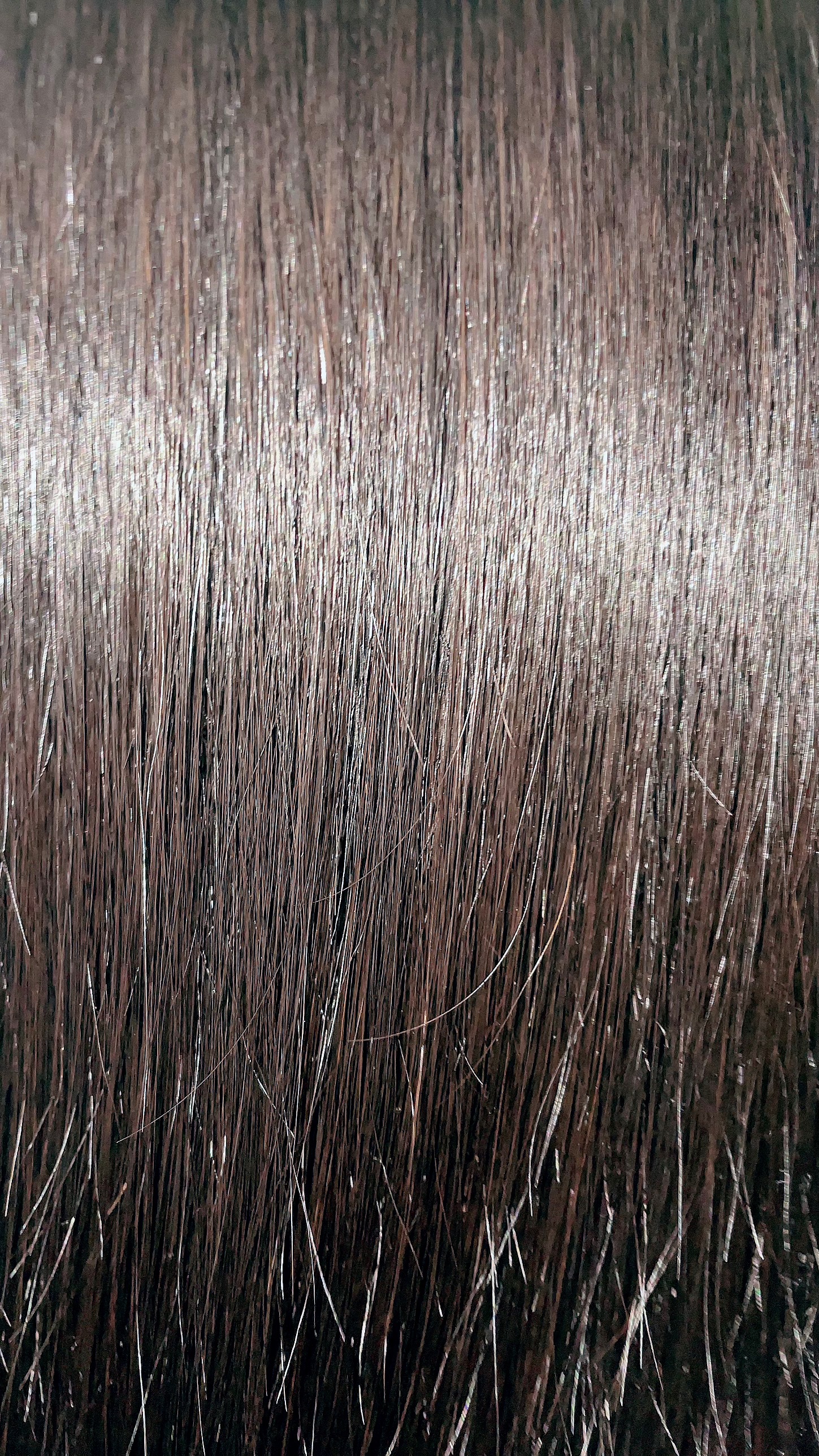 クレイスパ カラートリートメント/clayence/ヘアカラーを使ったクチコミ（3枚目）