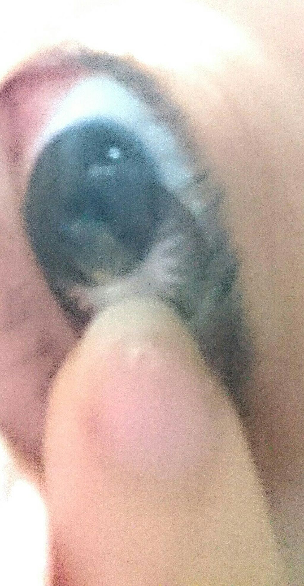 アイコフレ ワンデー UV/シード/ワンデー（１DAY）カラコンを使ったクチコミ（1枚目）