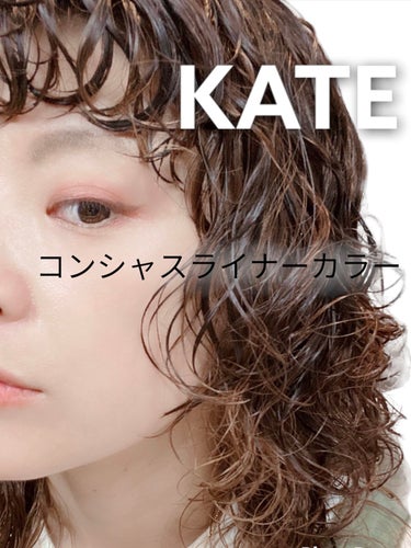 コンシャスライナーカラー 06 グレイッシュブラウン/KATE/リキッドアイライナーを使ったクチコミ（1枚目）