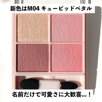 シルキースフレアイズ(マットタイプ)/キャンメイク/アイシャドウパレットを使ったクチコミ(3枚目)