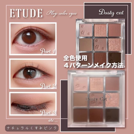 プレイカラーアイズ ダスティキャット/ETUDE/アイシャドウパレットを使ったクチコミ(1枚目)