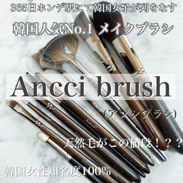 ANC 102S/Ancci brush/メイクブラシを使ったクチコミ（1枚目）