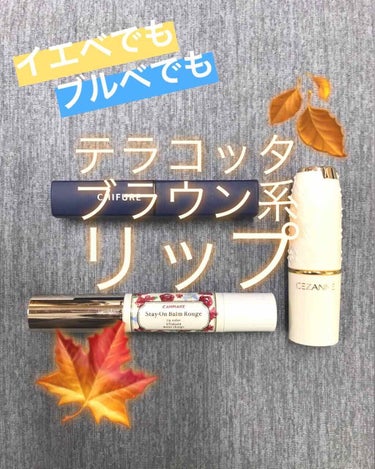 秋色、といえば一番に想像するのが「ブラウン・テラコッタ系」ですよね🍁

そんな秋にぴったりなプチプラ秋色リップをご紹介します🙌


今回紹介するのは
CEZANNE「ラスティングリップカラーN」105番