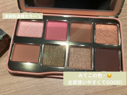 シェイク ユア パーム パームズ ミニ アイシャドウ パレット/Too Faced/アイシャドウパレットを使ったクチコミ(2枚目)