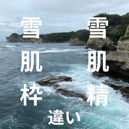 オイルイン クレンジング ジェル/雪肌粋/クレンジングジェルを使ったクチコミ(1枚目)