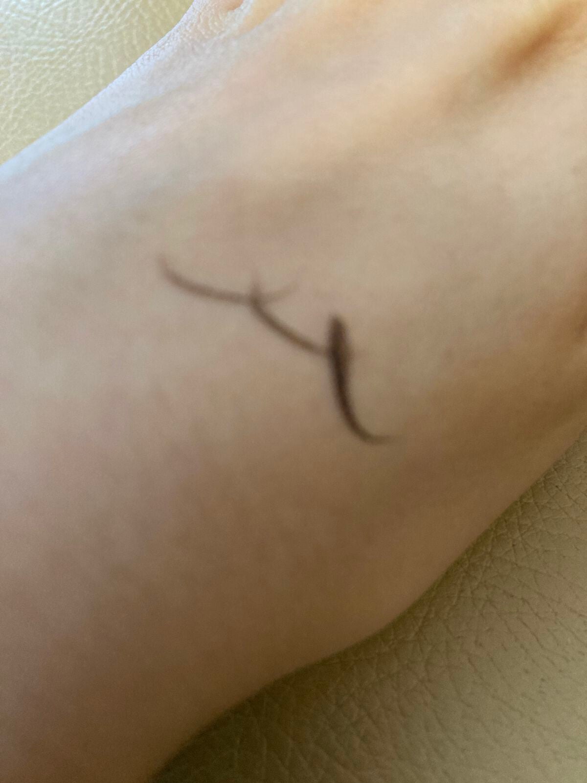 極細アイライナーEX/CEZANNE/リキッドアイライナーを使ったクチコミ(2枚目)