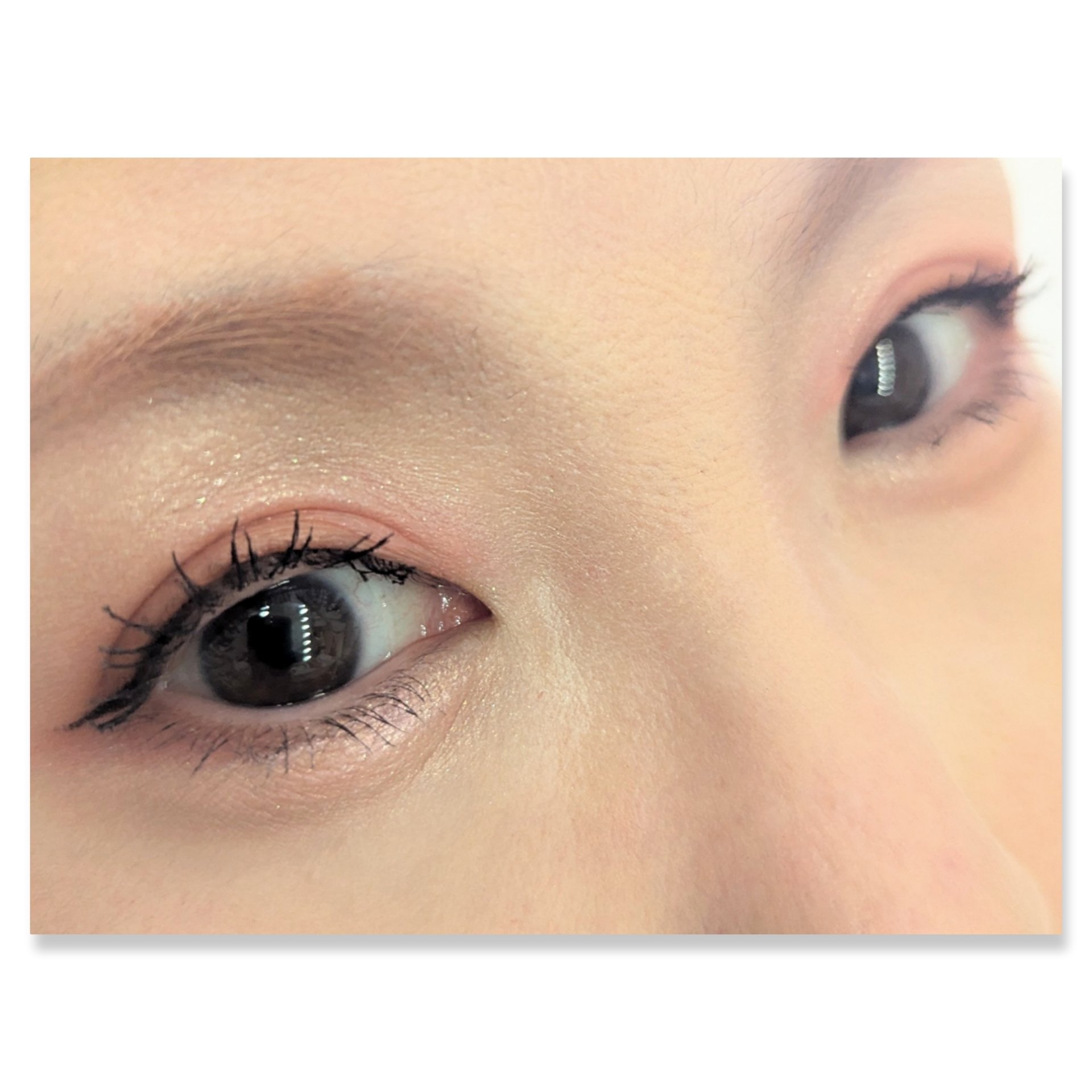 トーンアップアイシャドウ/CEZANNE/アイシャドウパレットを使ったクチコミ（2枚目）