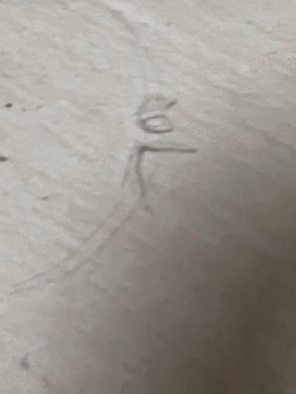 ヘアケアマスカラ/CEZANNE/ヘアジェルを使ったクチコミ(4枚目)