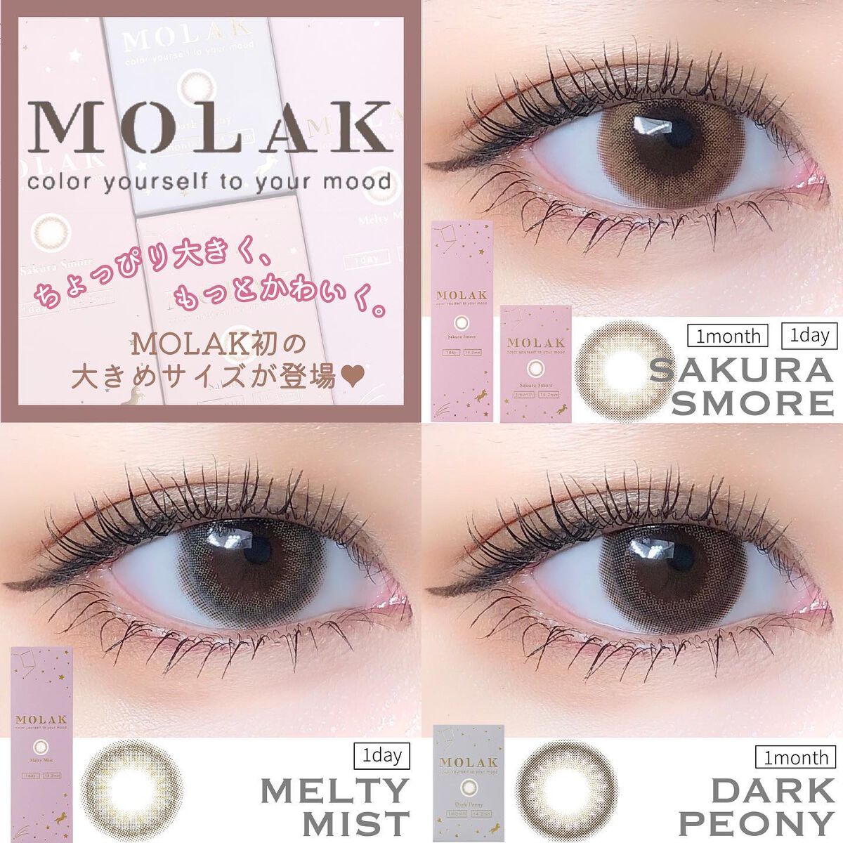 MOLAK 1day/MOLAK/ワンデー（１DAY）カラコンを使ったクチコミ（1枚目）